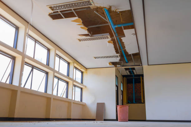 Best Flood restoration services  in Keedysville, MD