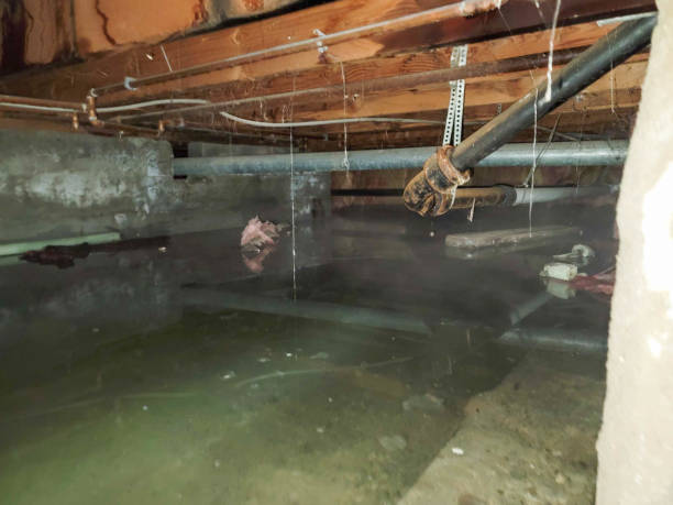 Best Water damage restoration cost  in Keedysville, MD