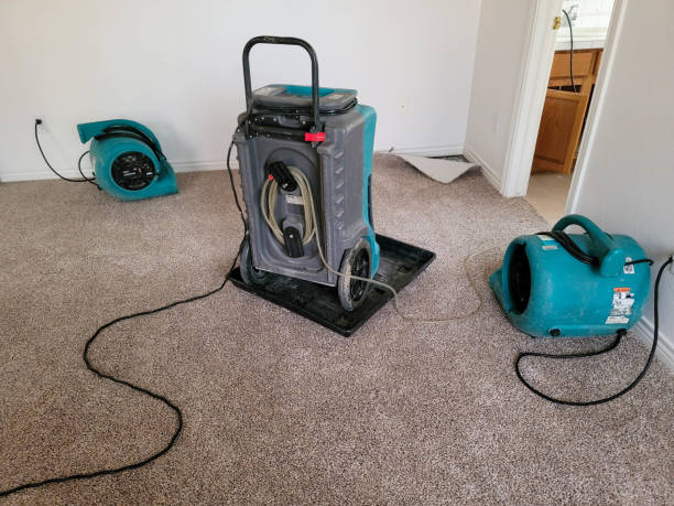 Best 24-hour water damage restoration  in Keedysville, MD