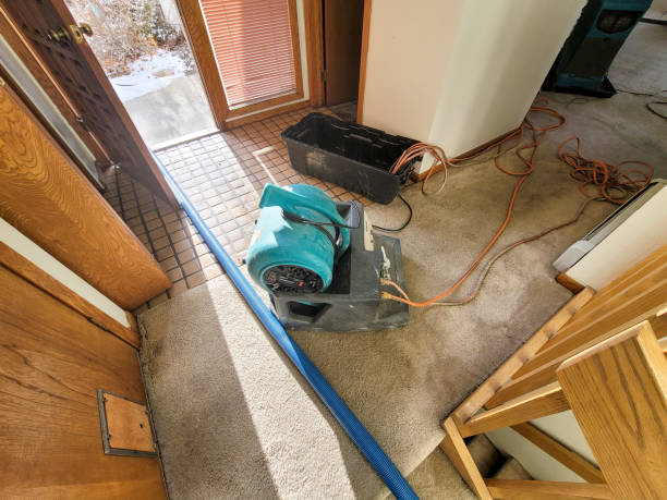 Best Commercial water damage restoration  in Keedysville, MD