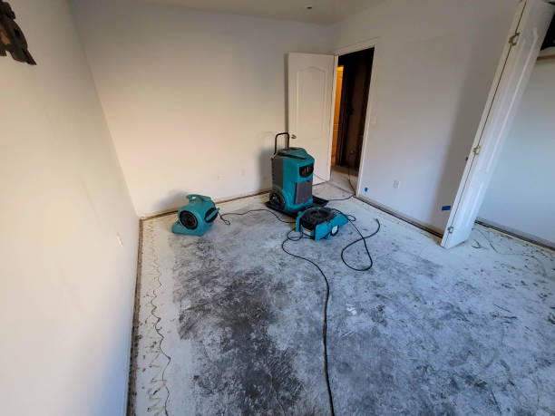 Best Professional water damage repair  in Keedysville, MD