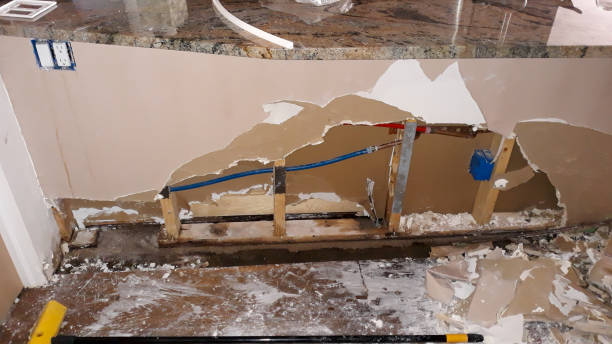 Best Carpet water damage restoration  in Keedysville, MD