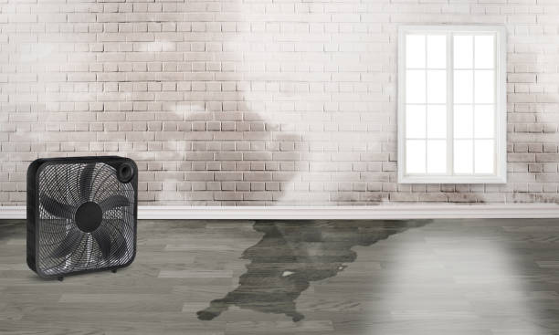 Best 24-hour water damage restoration  in Keedysville, MD