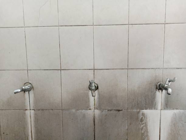 Best Professional water damage repair  in Keedysville, MD
