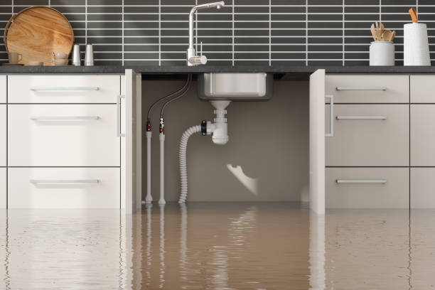 Best 24/7 water damage repair  in Keedysville, MD